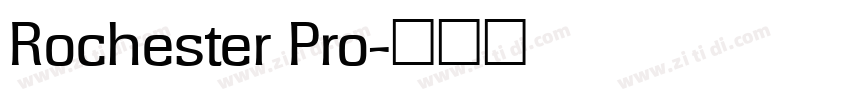 Rochester Pro字体转换